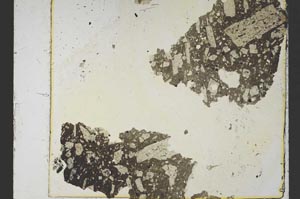 Plane Polarized, S39646