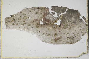Plane Polarized, S39649