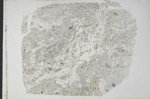 Plane Polarized, S39651