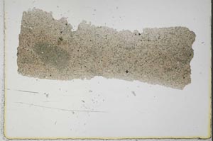 Plane Polarized, S39653