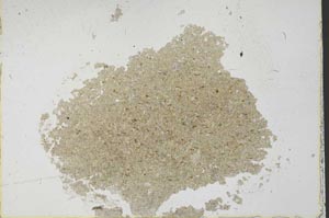 Plane Polarized, S39705