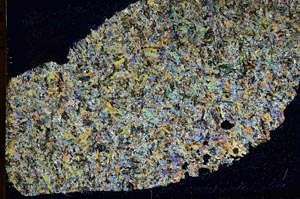 Cross Polarized, S39728