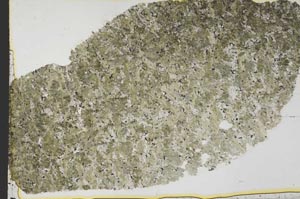 Plane Polarized, S39728