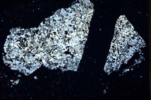 Cross Polarized, S39729