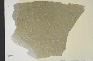 Plane Polarized, S39737