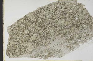 Plane Polarized, S39742