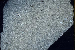 Cross Polarized, S39743