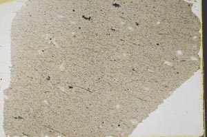 Plane Polarized, S39743