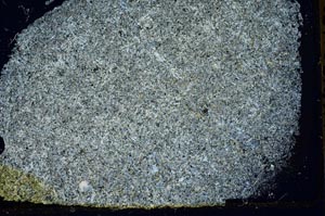 Cross Polarized, S39745