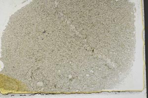 Plane Polarized, S39745