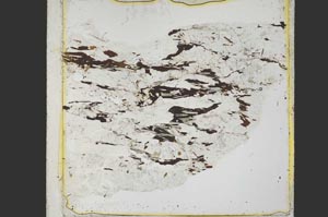 Plane Polarized, S39758