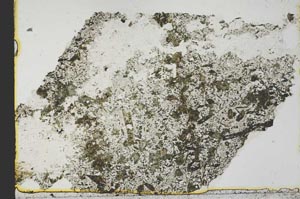 Plane Polarized, S39763