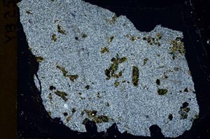 Cross Polarized, S39769