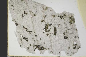 Plane Polarized, S39769