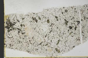 Plane Polarized, S39770