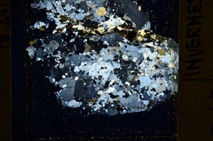 Cross Polarized, S39784