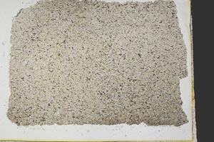 Plane Polarized, S39788