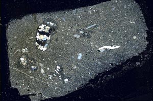 Cross Polarized, S39800