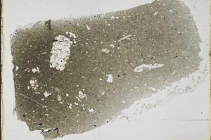 Plane Polarized, S39800