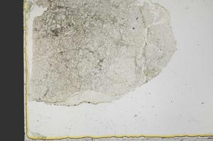 Plane Polarized, S39815