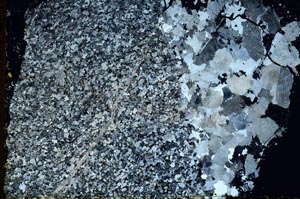 Cross Polarized, S39816