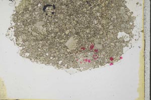 Plane Polarized, S39818