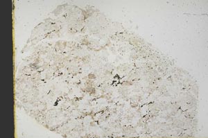 Plane Polarized, S39819