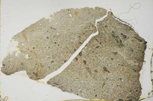 Plane Polarized, S39820