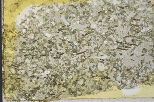 Plane Polarized, S39821