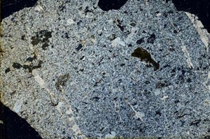 Cross Polarized, S39823