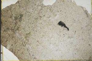 Plane Polarized, S39823