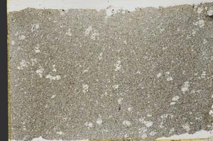 Plane Polarized, S39824