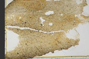 Plane Polarized, S39826