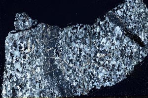Cross Polarized, S39829