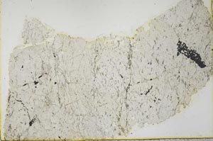 Plane Polarized, S39829