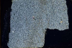 Cross Polarized, S39833