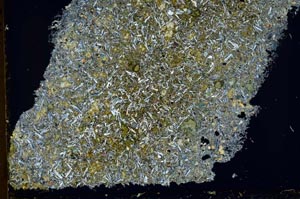 Cross Polarized, S39834