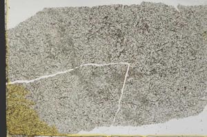 Plane Polarized, S39836