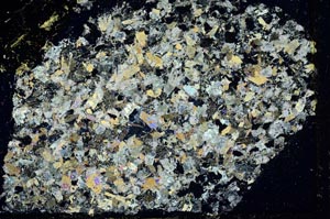 Cross Polarized, S39841