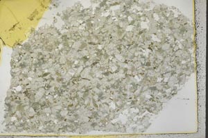 Plane Polarized, S39841