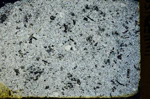 Cross Polarized, S39843