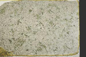 Plane Polarized, S39843