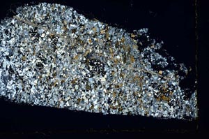 Cross Polarized, S39844