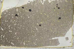 Plane Polarized, S39845