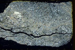 Cross Polarized, S39846