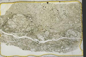 Plane Polarized, S39846