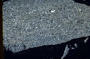 Cross Polarized, S39847