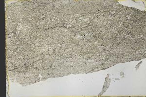 Plane Polarized, S39847