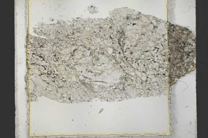 Plane Polarized, S39848