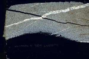 Cross Polarized, S39849